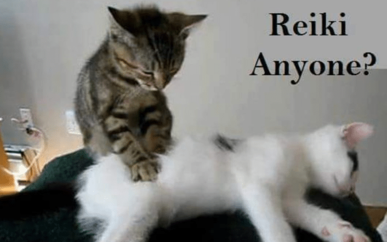 Cats give Reiki